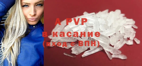 ПСИЛОЦИБИНОВЫЕ ГРИБЫ Ладушкин