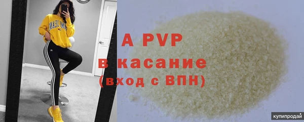ПСИЛОЦИБИНОВЫЕ ГРИБЫ Ладушкин