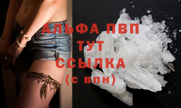 ПСИЛОЦИБИНОВЫЕ ГРИБЫ Ладушкин